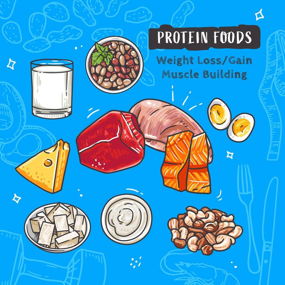 proteinreich Lebensmittel auf ein Blau Hintergrund. handgemalt Vektor Illustration.