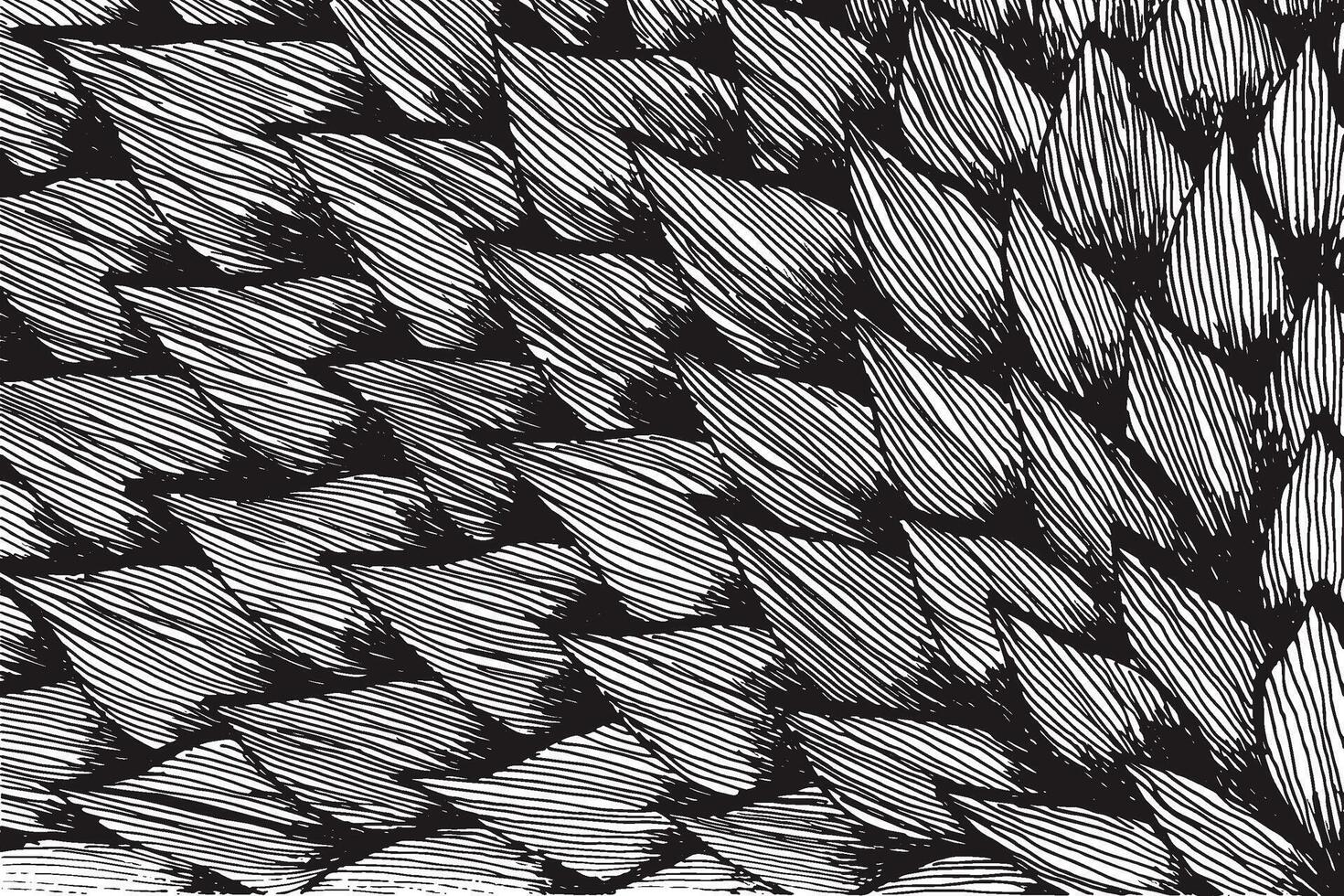 svartvit svart och vit hand teckning blommig mönster vektor