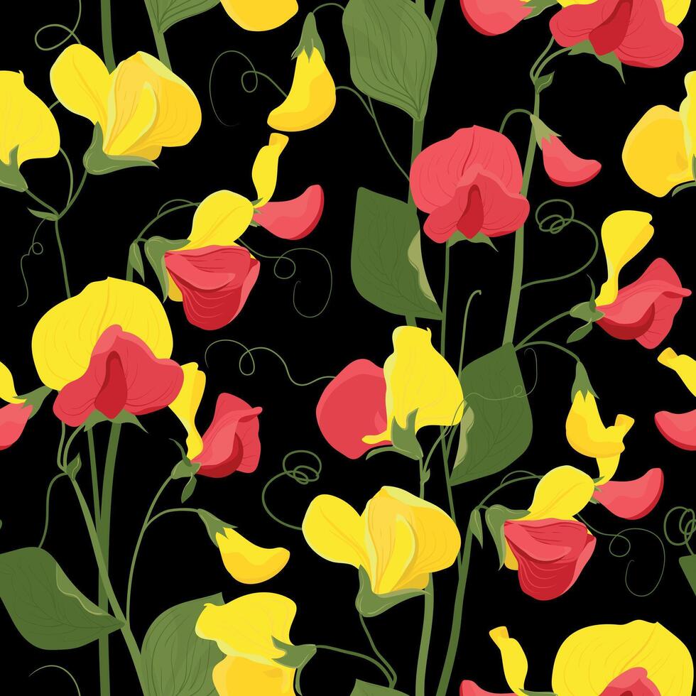nahtlos Vektor Muster mit Süss Erbse Blumen. Blumen- Muster zum Hintergrund oder Stoff, Textil. rot und Gelb Sommer- Blumen und Grün Laub auf ein schwarz Hintergrund.