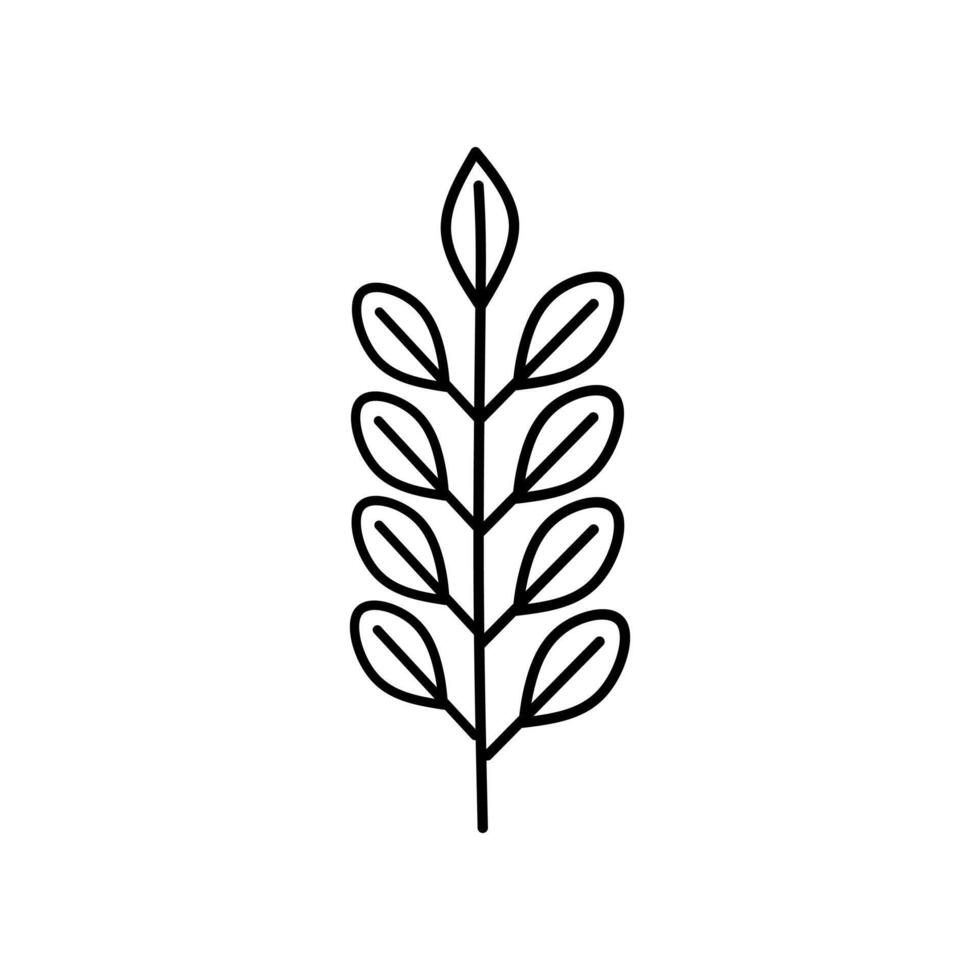 svart och vit linje teckning av en växt lämplig för botanisk illustrationer, trädgårdsarbete handböcker, natur tema mönster, och pedagogisk material. vektor
