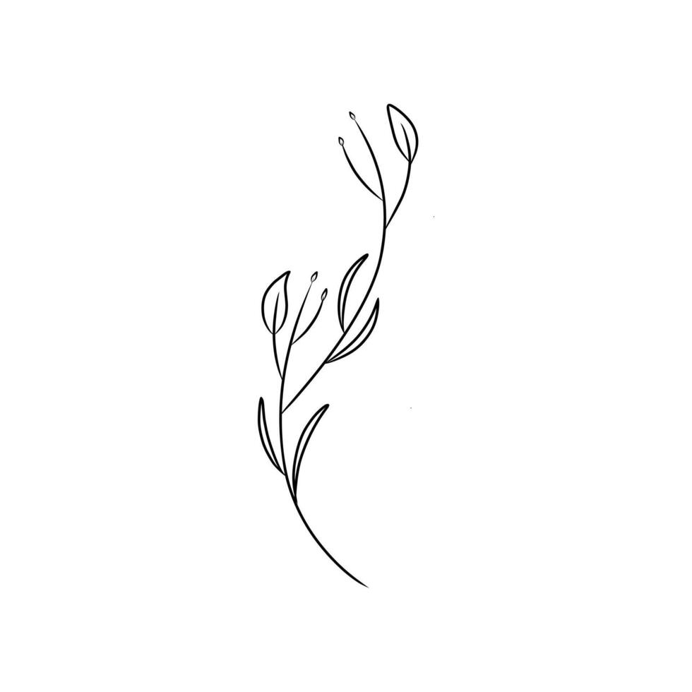 einfach Linie Zeichnung von ein Blume geeignet zum Natur thematisch Entwürfe, Blumen- Drucke, Garten Illustrationen, botanisch Muster, und Frühling oder Sommer- thematisch Projekte. vektor