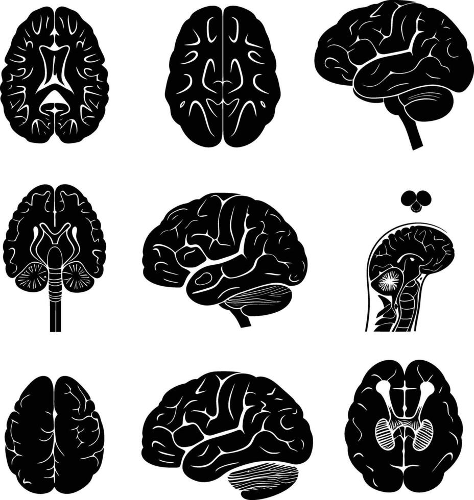 ai genererad silhuett för inre organ av hjärna svart Färg endast vektor