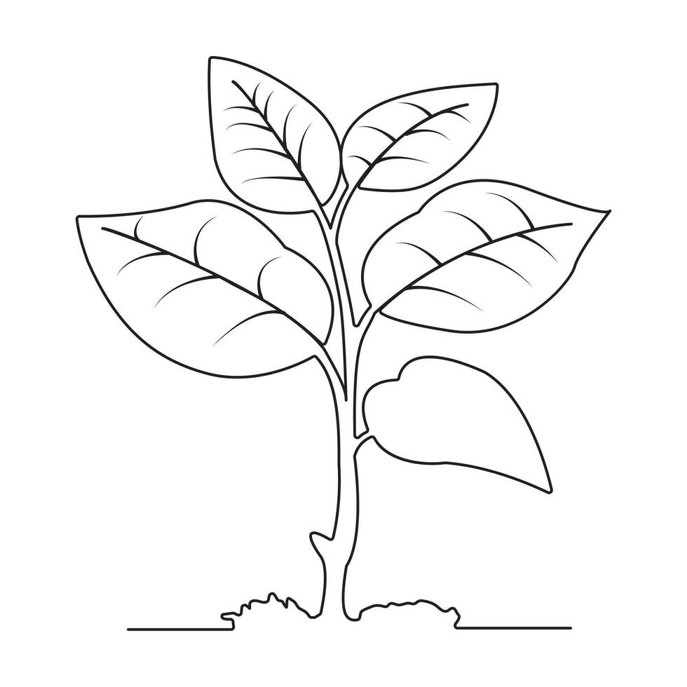 kontinuerlig enda linje konst av träd växt tillväxt bearbeta illustration översikt vektor konst.