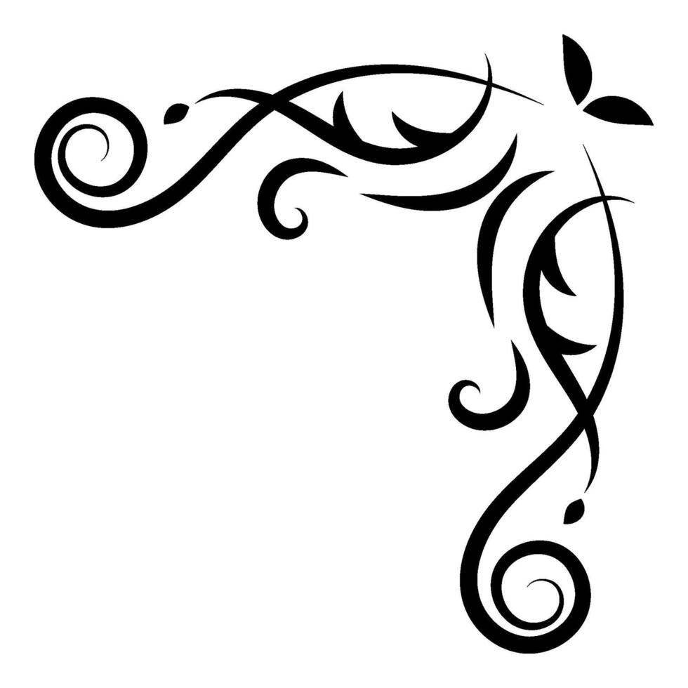 Ecke und Rahmen wirbelt Teiler dekorativ. Filigran mit Jahrgang Stil. klassisch Eleganz locken Ornament. Element Design Kalligraphie. Dekoration zum rahmen, Gruß Karte, Einladung, Speisekarte, Zertifikat. vektor