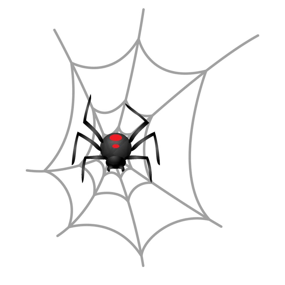 Spinne Symbol im Farbe. Tier Spinnentier gespenstisch Halloween vektor