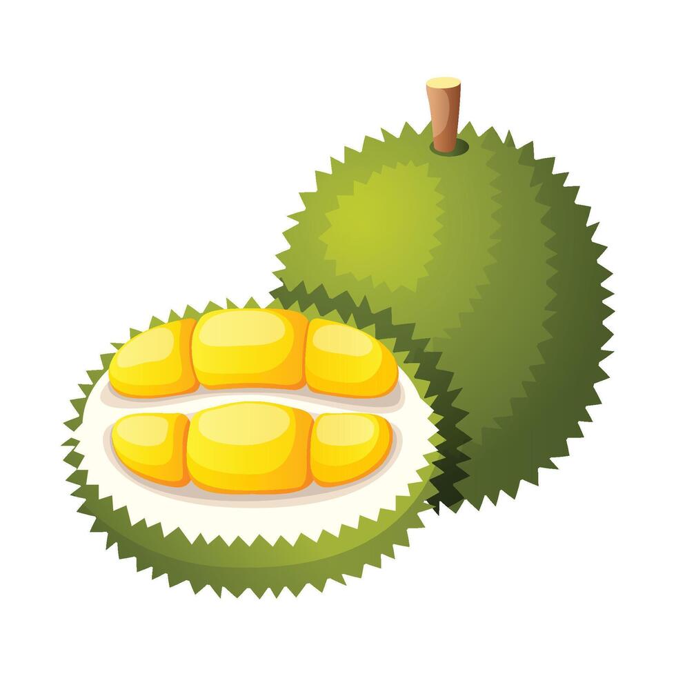 Durian Obst Symbol Design. frisch Obst vektor