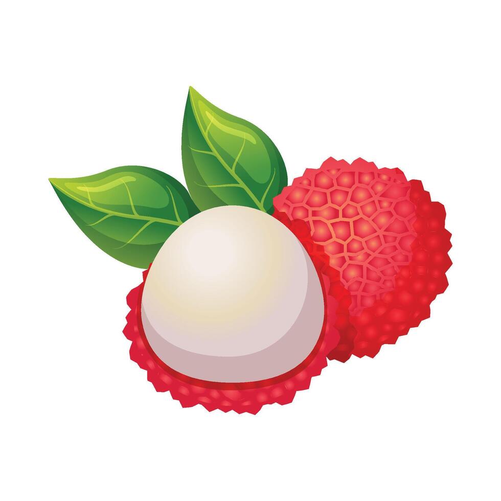 litchi frukt ikon design. färsk frukt vektor