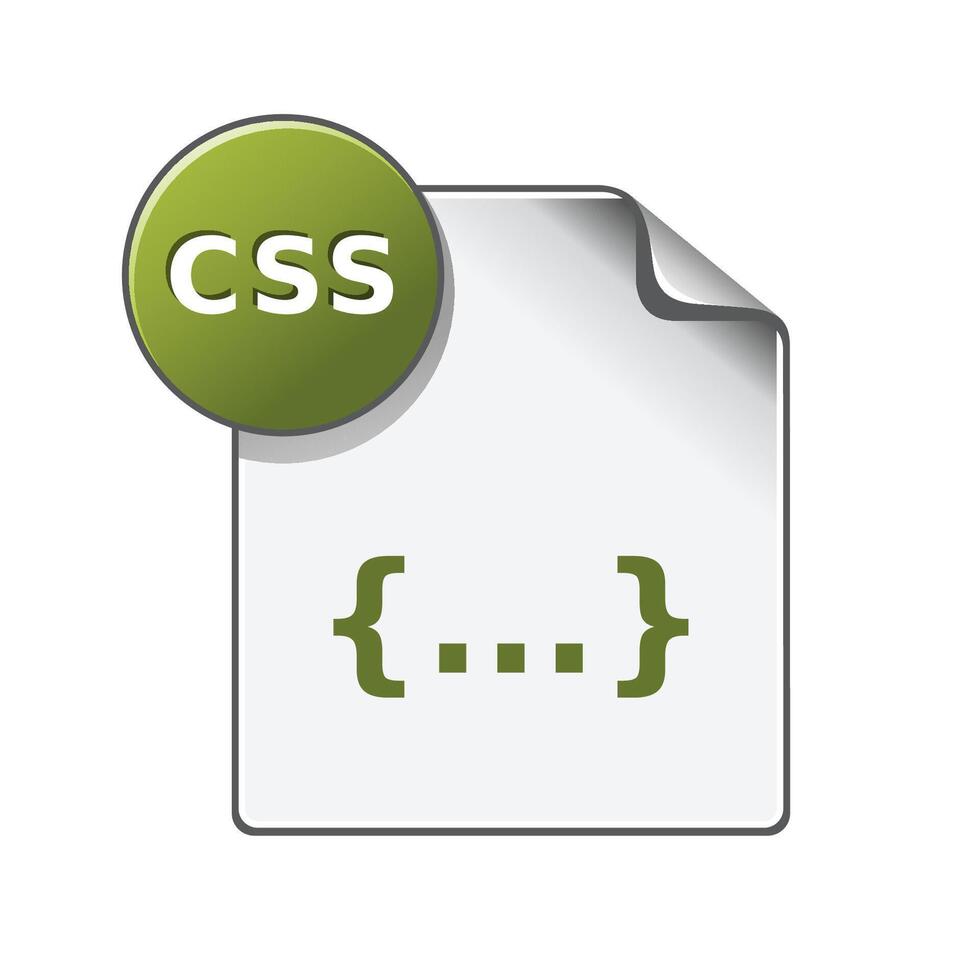 CSS Datei Format Symbol im Farbe. Computer Netz Seite Stil vektor