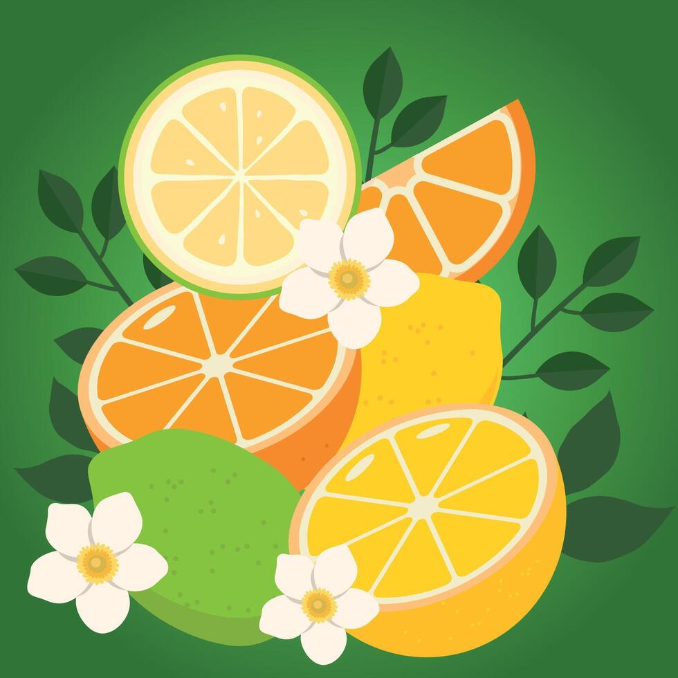 Sommer- Früchte gemischt. süß Zitrusfrüchte Früchte Zitrone, Limette und Orange Hintergrund im lebendig lecker Farben Ideal zum frisch Limonade vektor