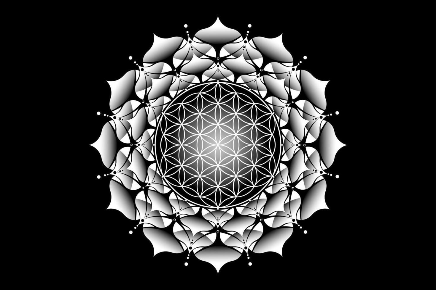 heilig Lotus Yantra mandala, mystisch Blume von Leben. heilig Geometrie, Vektor Logo Grafik Element isoliert. Mystiker Symbol Samen von Leben, geometrisch Zeichnung Zeichen, esoterisch Lotus Blume auf schwarz Hintergrund