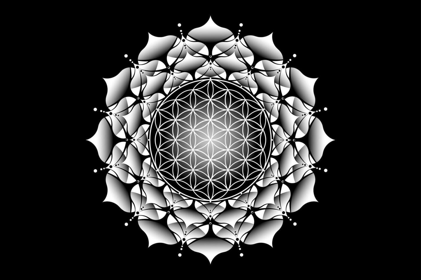 helig lotus yantra mandala, mystisk blomma av liv. helig geometri, vektor logotyp grafisk element isolerat. mystiker ikon utsäde av liv, geometrisk teckning tecken, esoterisk lotus blomma på svart bakgrund