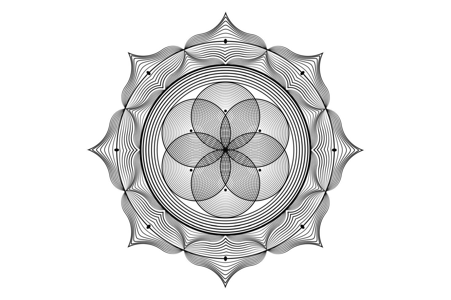 helig lotus yantra mandala, mystisk blomma av liv. helig geometri, vektor logotyp grafisk element isolerat. mystiker ikon utsäde av liv, geometrisk teckning tecken, esoterisk lotus blomma på vit bakgrund