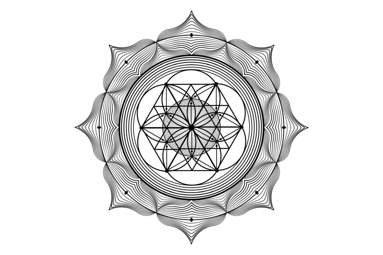 heilig Lotus Yantra mandala, mystisch Blume von Leben. heilig Geometrie, Vektor Logo Grafik Element isoliert. Mystiker Symbol Samen von Leben, geometrisch Zeichnung Zeichen, esoterisch Lotus Blume auf Weiß Hintergrund