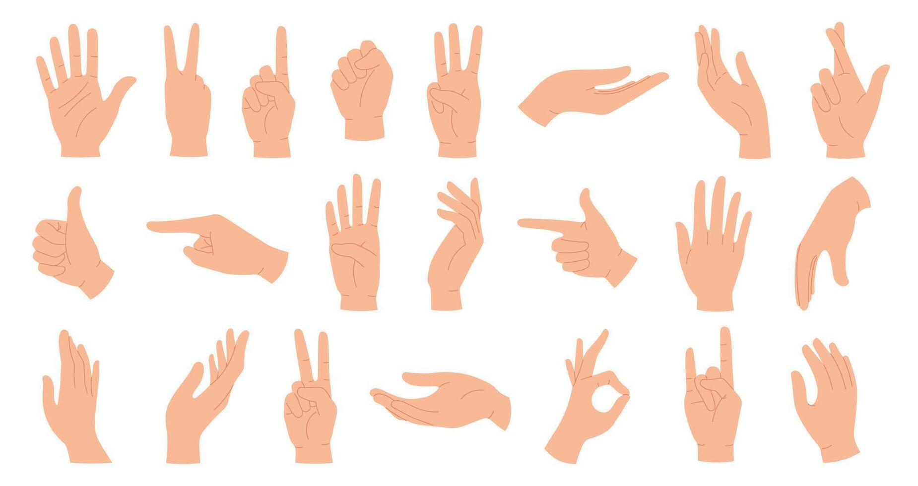 händer poserar. kvinna hand innehav och pekande gester, fingrar korsade, näve, fred och tumme upp. tecknad serie mänsklig palmer och handled vektor uppsättning