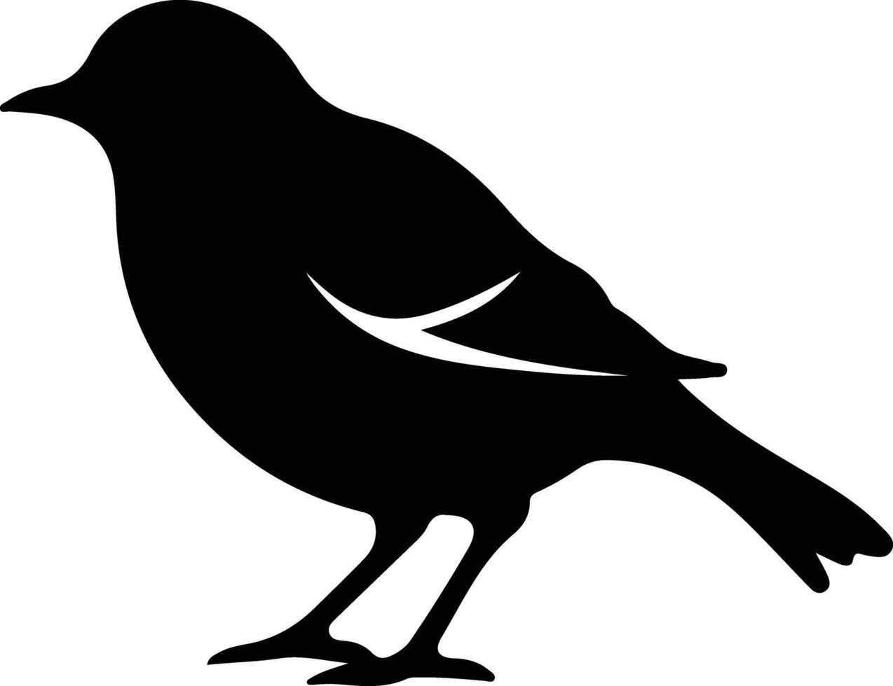 Americanrobin schwarz Silhouette vektor