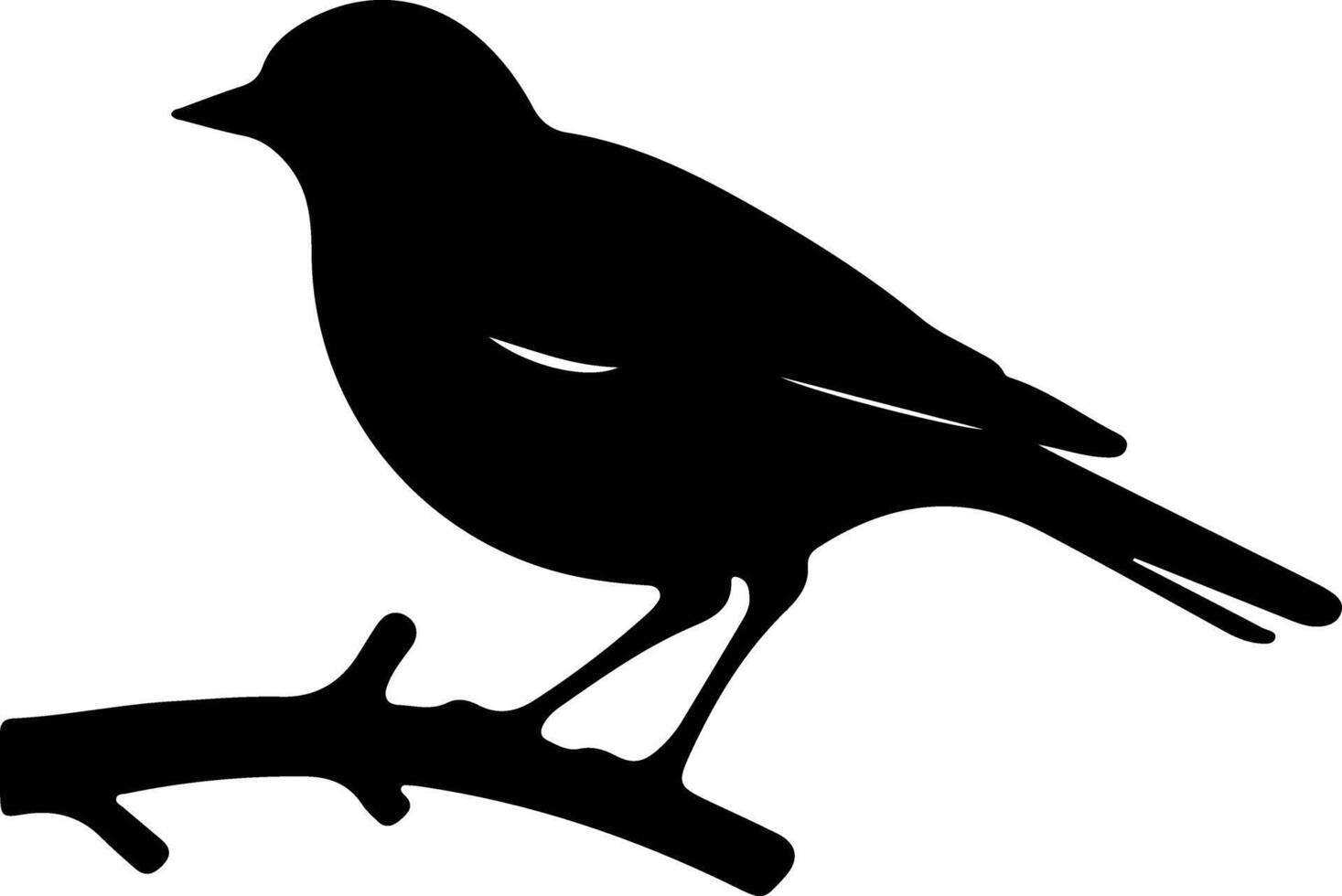 Americanrobin schwarz Silhouette vektor