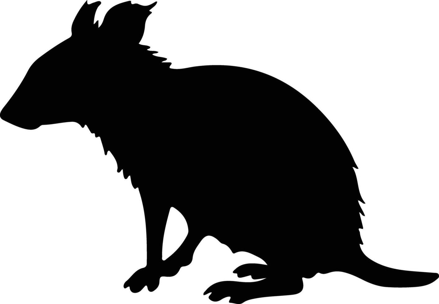 Bandicoot schwarz Silhouette vektor