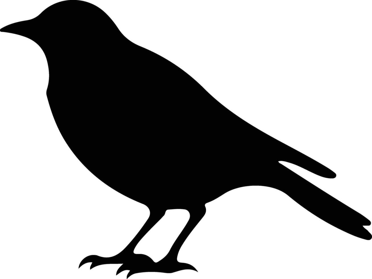 Amsel schwarz Silhouette vektor