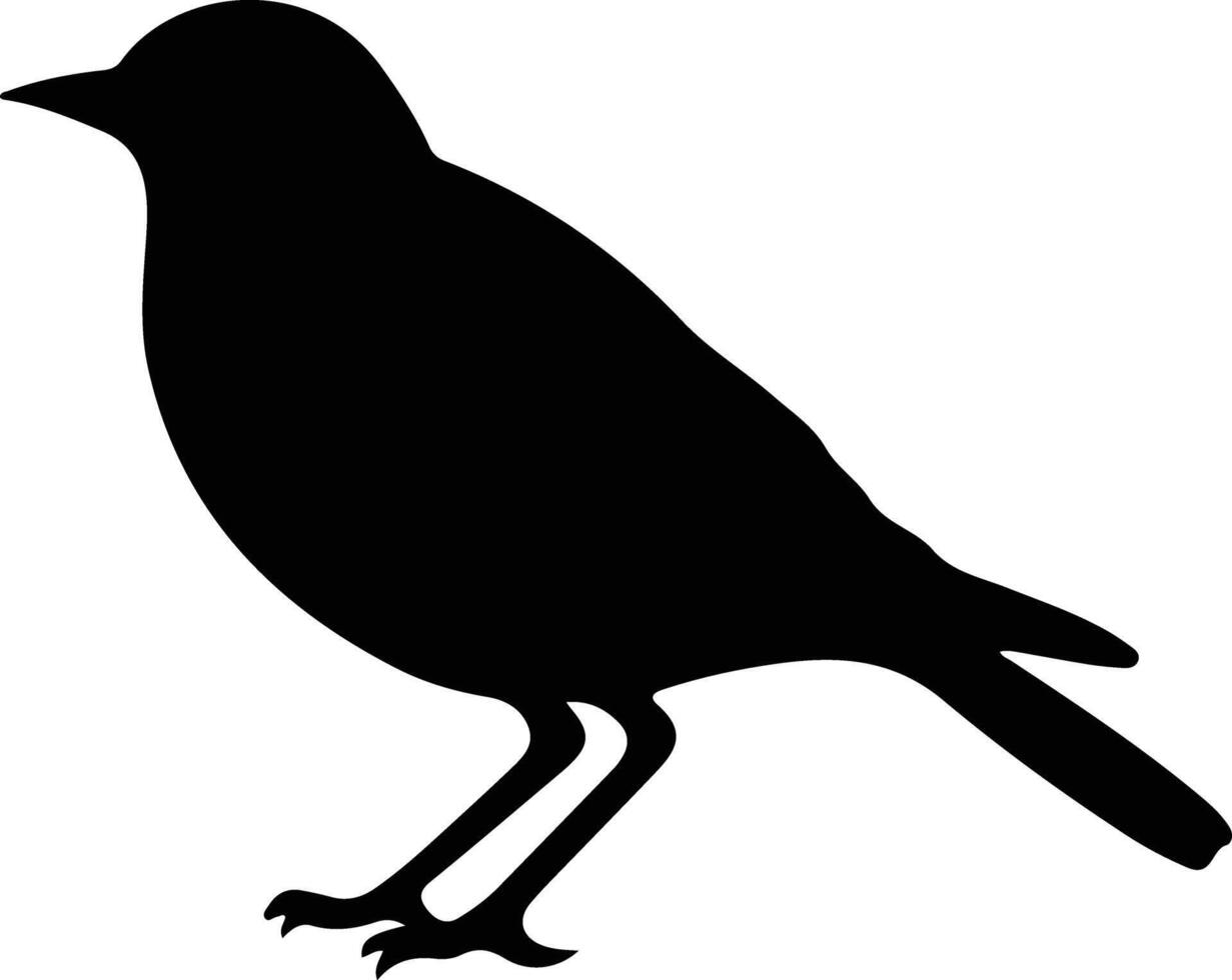 Amsel schwarz Silhouette vektor