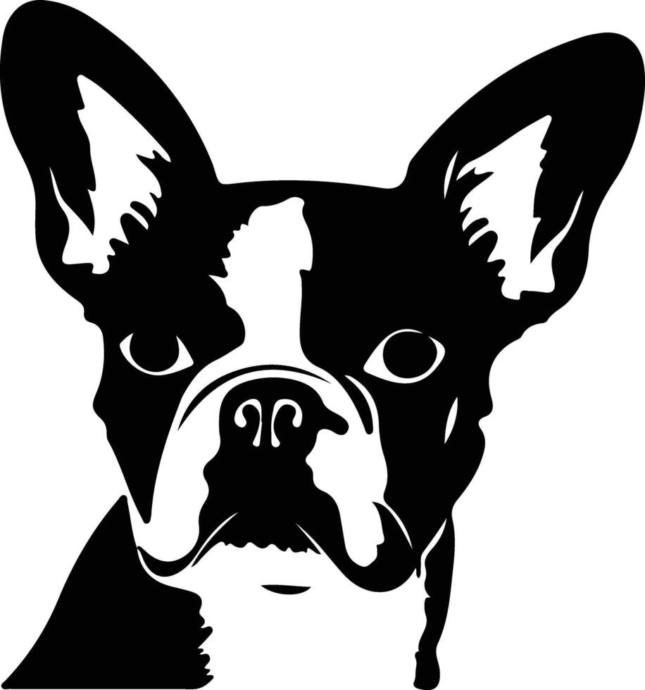 Boston Terrier Silhouette vektor