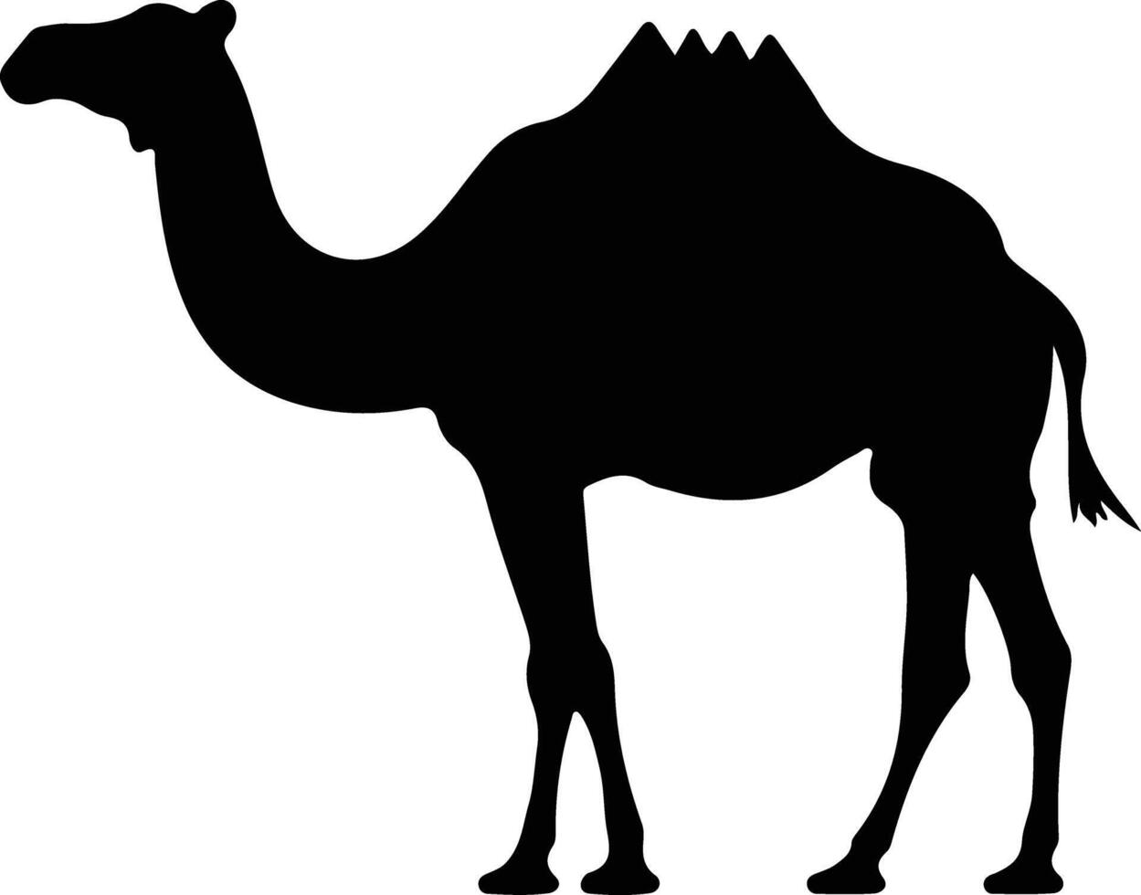 Kamel schwarz Silhouette vektor