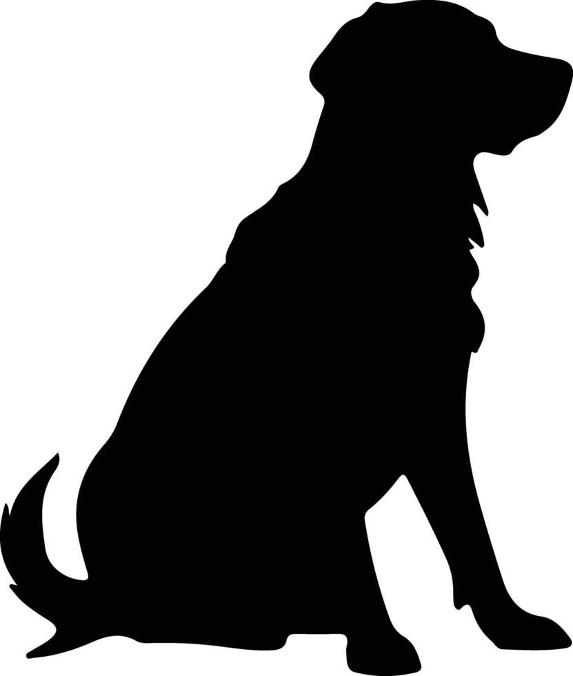 Begleiter Hund schwarz Silhouette vektor