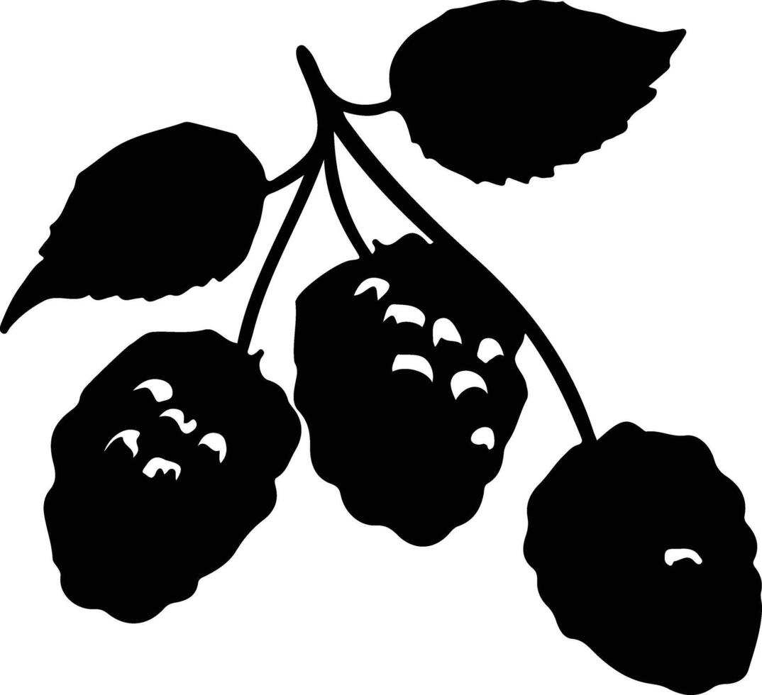 Brombeere schwarz Silhouette vektor