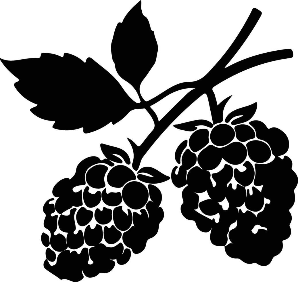 Brombeere schwarz Silhouette vektor