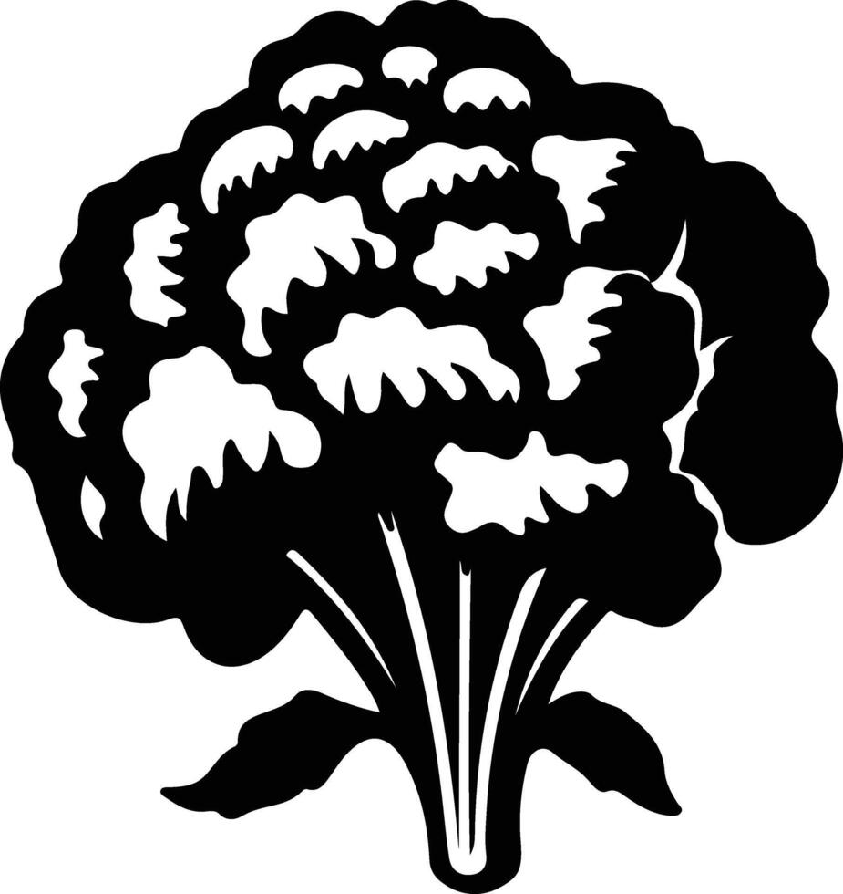 blomkål svart silhuett vektor