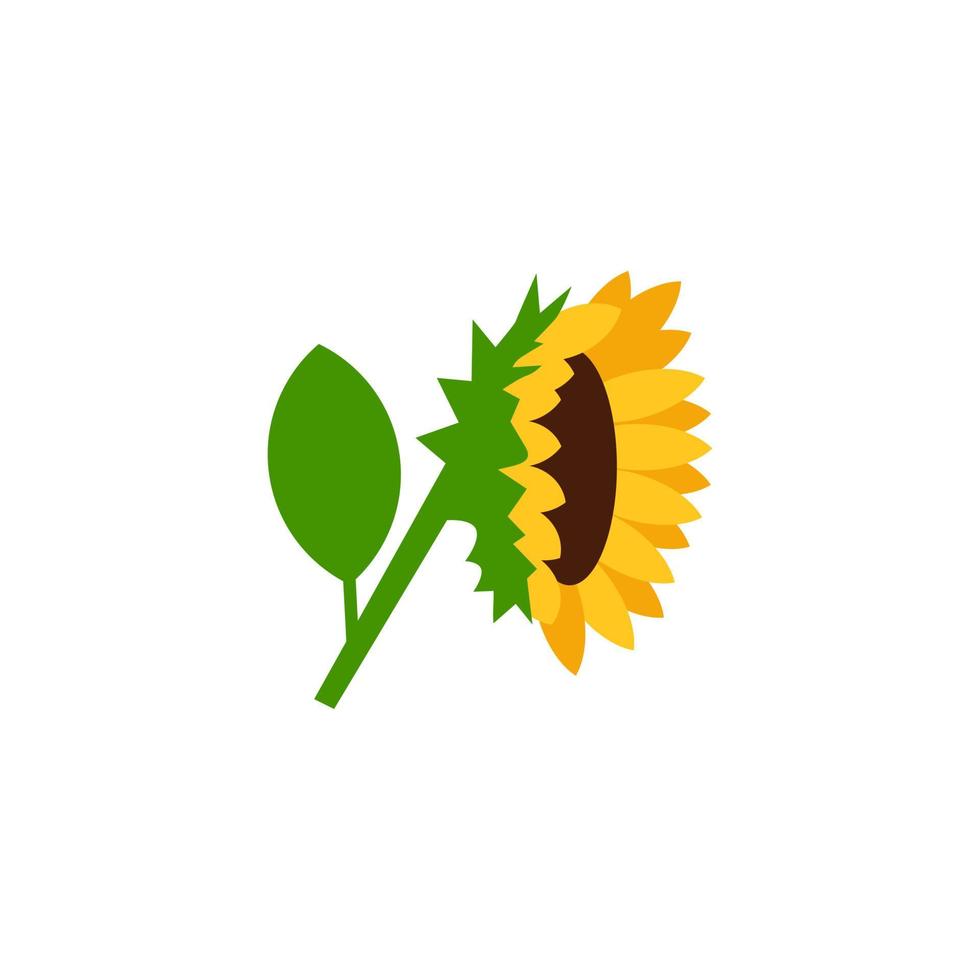 Sonnenblumen-Seitenansicht-Vektor-Illustration isoliert auf weißem Hintergrund vektor