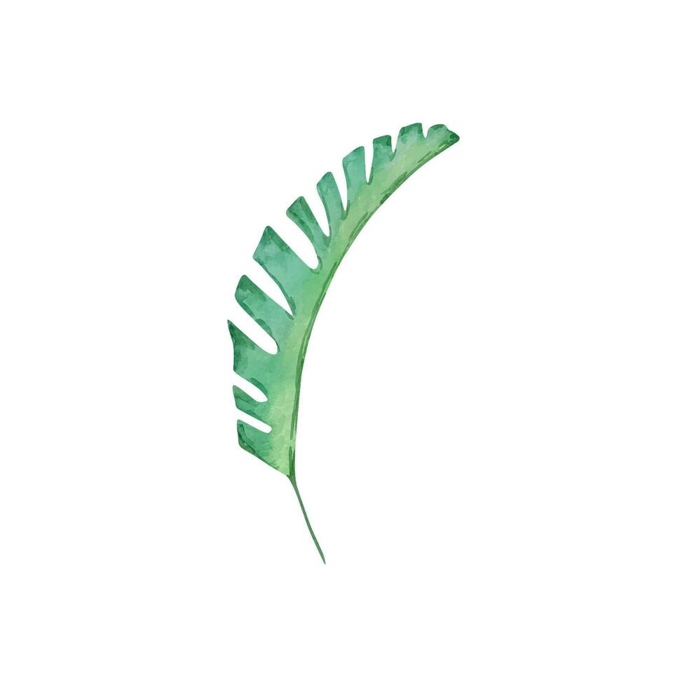 vattenfärg tropisk grön blad, djungel illustration vektor