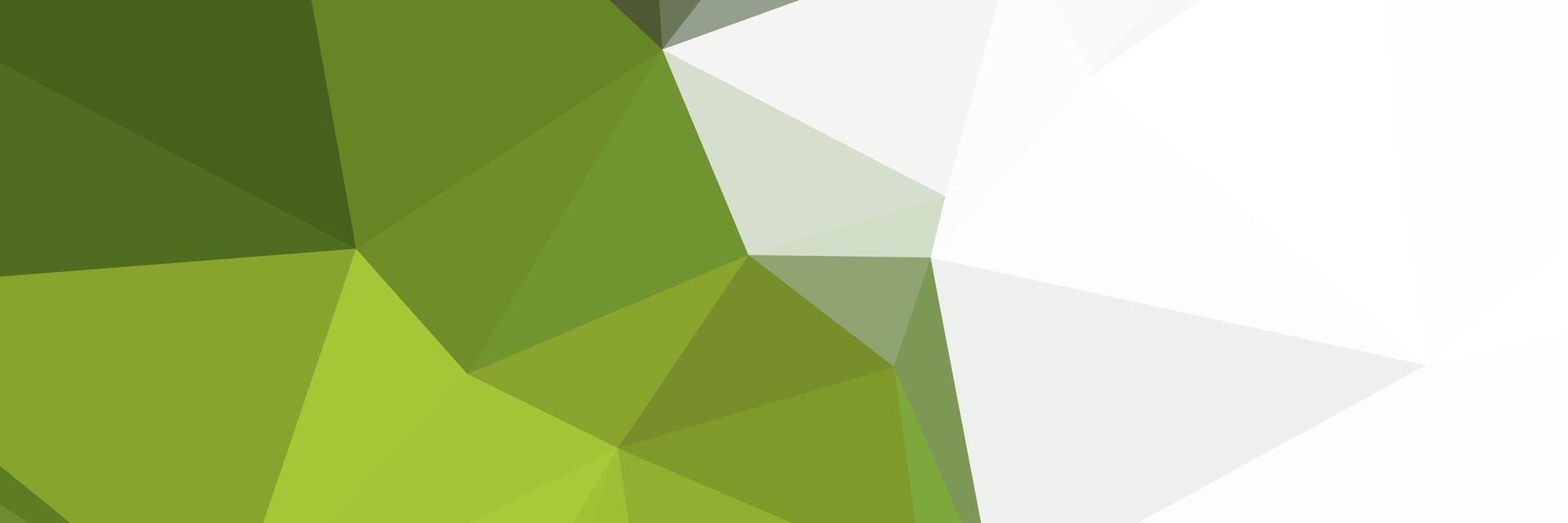 abstrakt grön elegant geometrisk bakgrund med vit Plats vektor