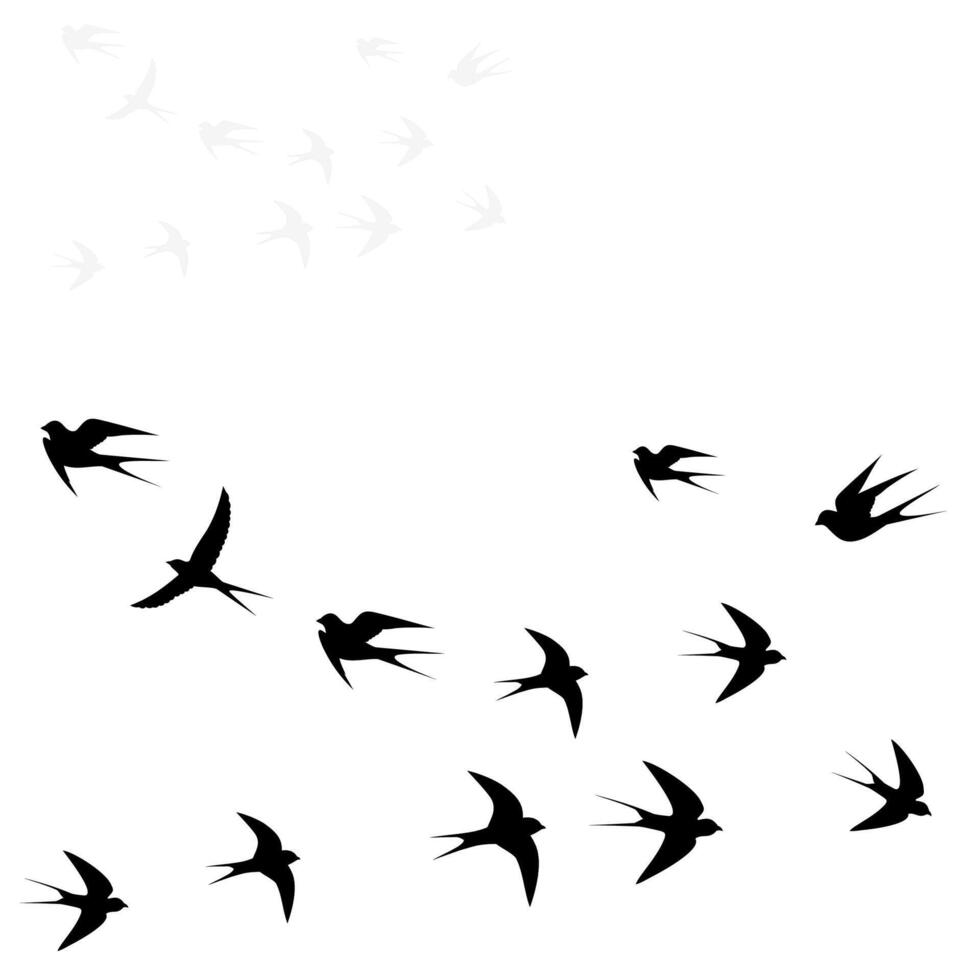 fåglar flyga i två flockar vektor