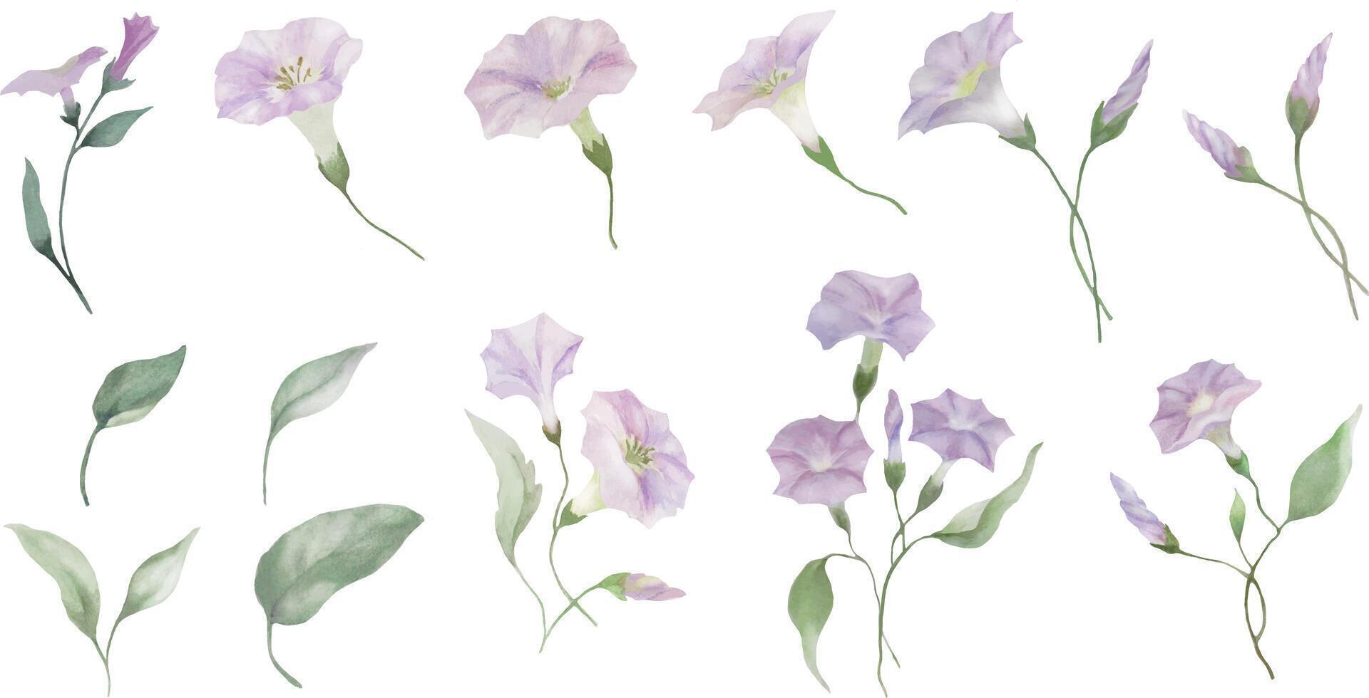 Aquarell Blumen- Satz. Hand gezeichnet Illustration isoliert auf transparent Hintergrund. Vektor Folge.