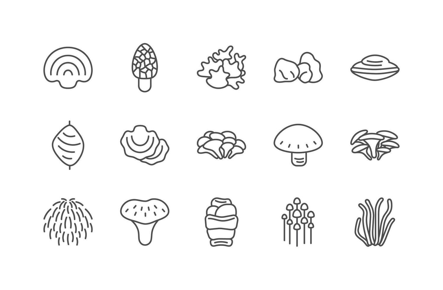 medicinsk svamp linje ikon uppsättning. annorlunda typer av svamp vektor illustration