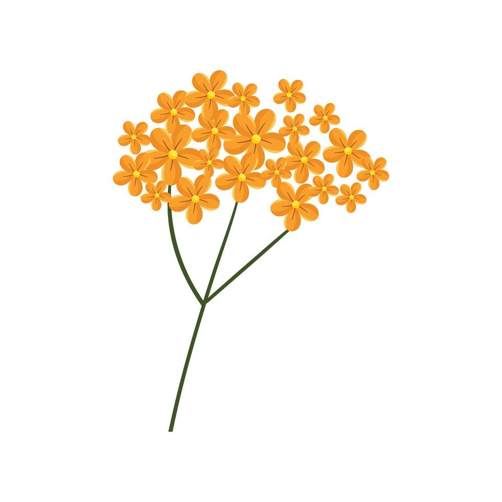 vektor gul hortensia blomma illustration på vit