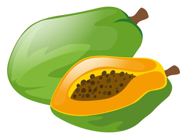 Färsk papaya på vit bakgrund vektor