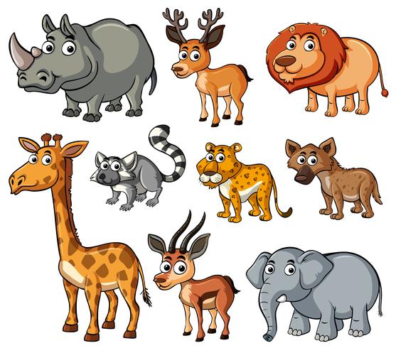 Olika typer av vilda djur vektor