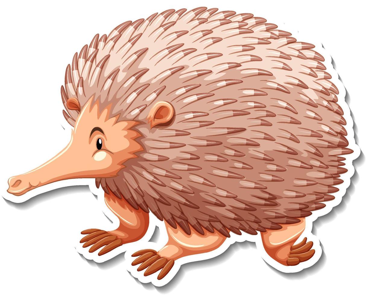 Echidna-Cartoon-Figur auf weißem Hintergrund vektor