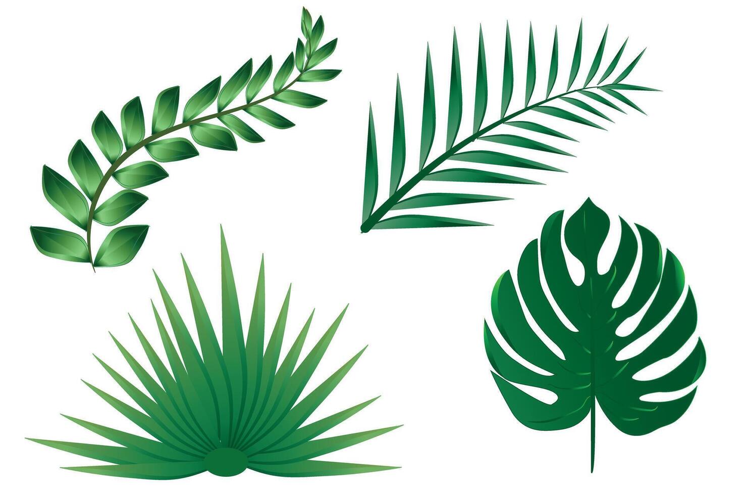 einstellen von tropisch Blätter.grün Palme Blatt von Monstera und andere exotisch Pflanzen isoliert auf Weiß Hintergrund zum Design Elemente, eben legen. vektor