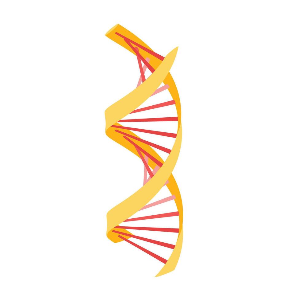 Wendel Mensch DNA Struktur, DNA Symbol eben Vektor