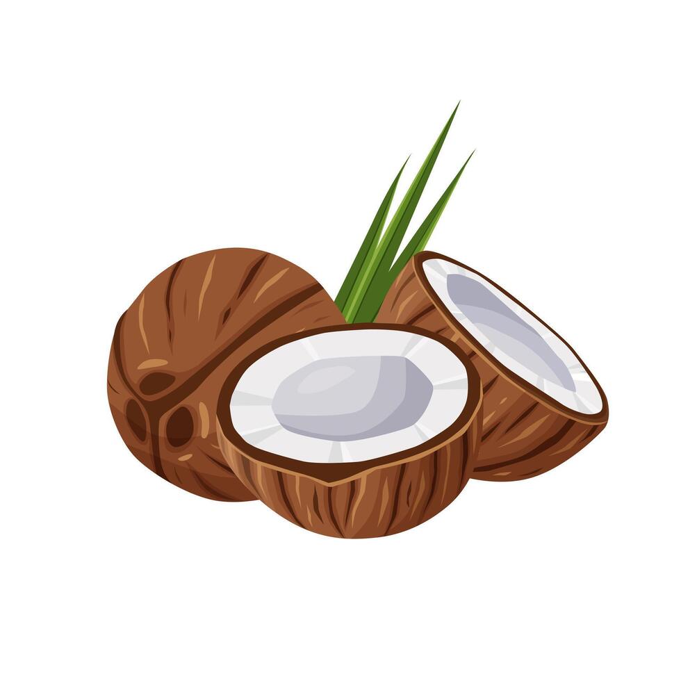 Kokosnüsse und Kokosnuss Hälfte mit Blätter isoliert auf ein Weiß Hintergrund vektor