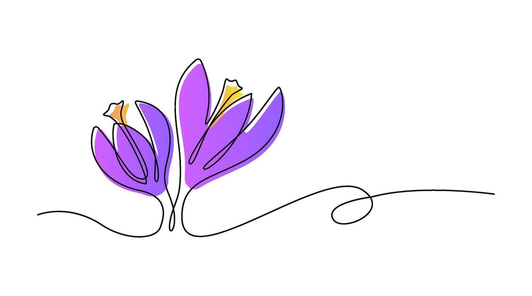 Frühling Blumen Krokus gezeichnet durch einer Linie. Vektor Illustration auf ein Weiß Hintergrund.