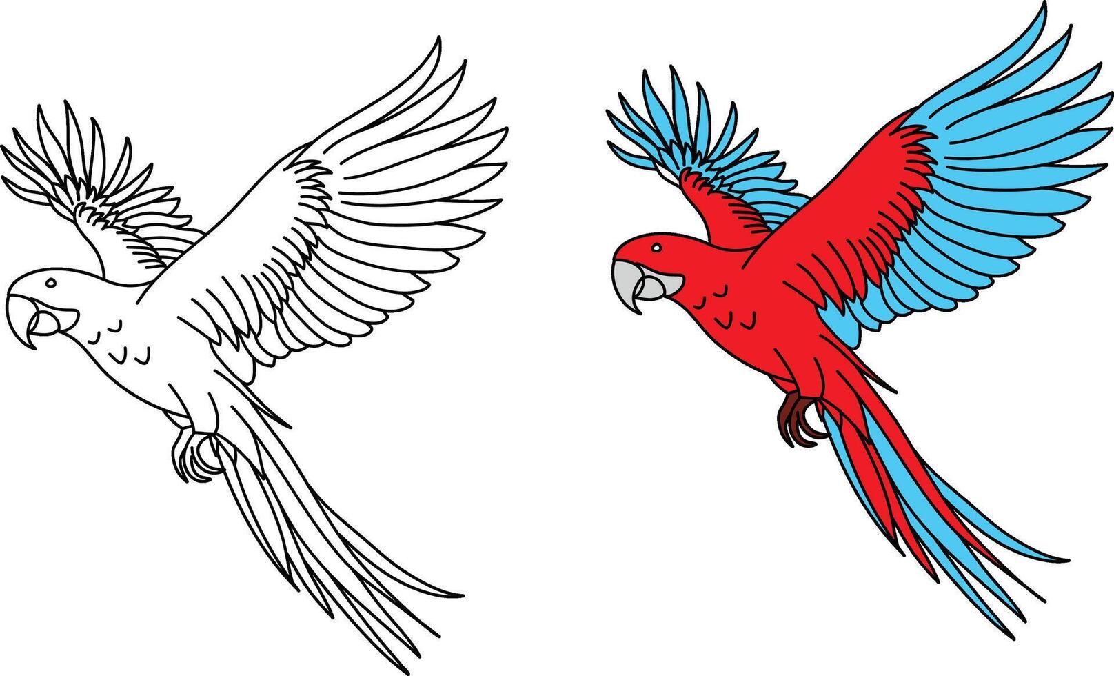 rot blau Papagei fliegend Pose isoliert auf Weiß Hintergrund. Papagei skizzieren vektor