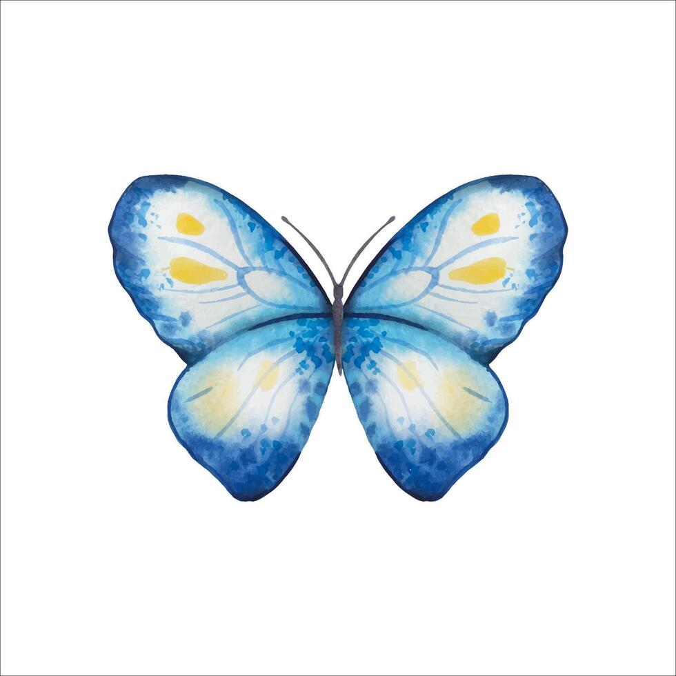 Hand gezeichnet abstrakt Schmetterling im Blau, Gelb Töne vektor