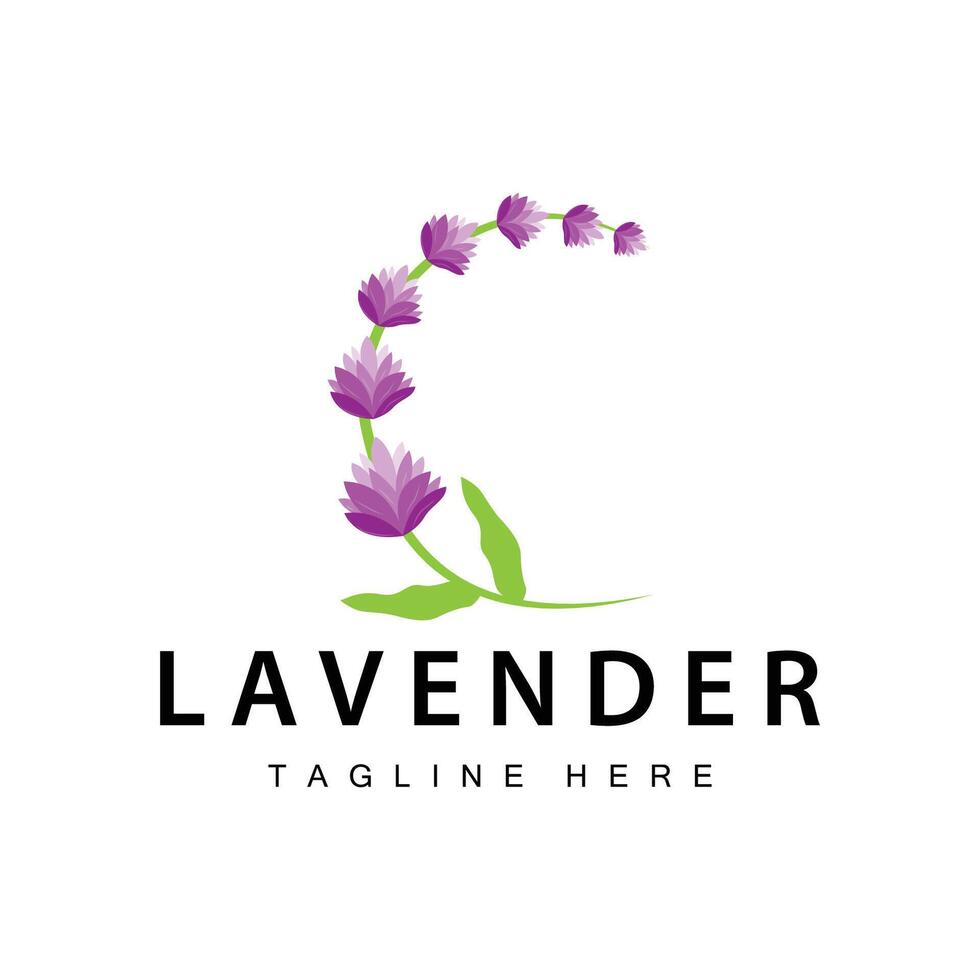 Lavendel Logo einfach Design Vektor kosmetisch Pflanze lila Farbe und Aromatherapie Lavendel Blume Garten Vorlage