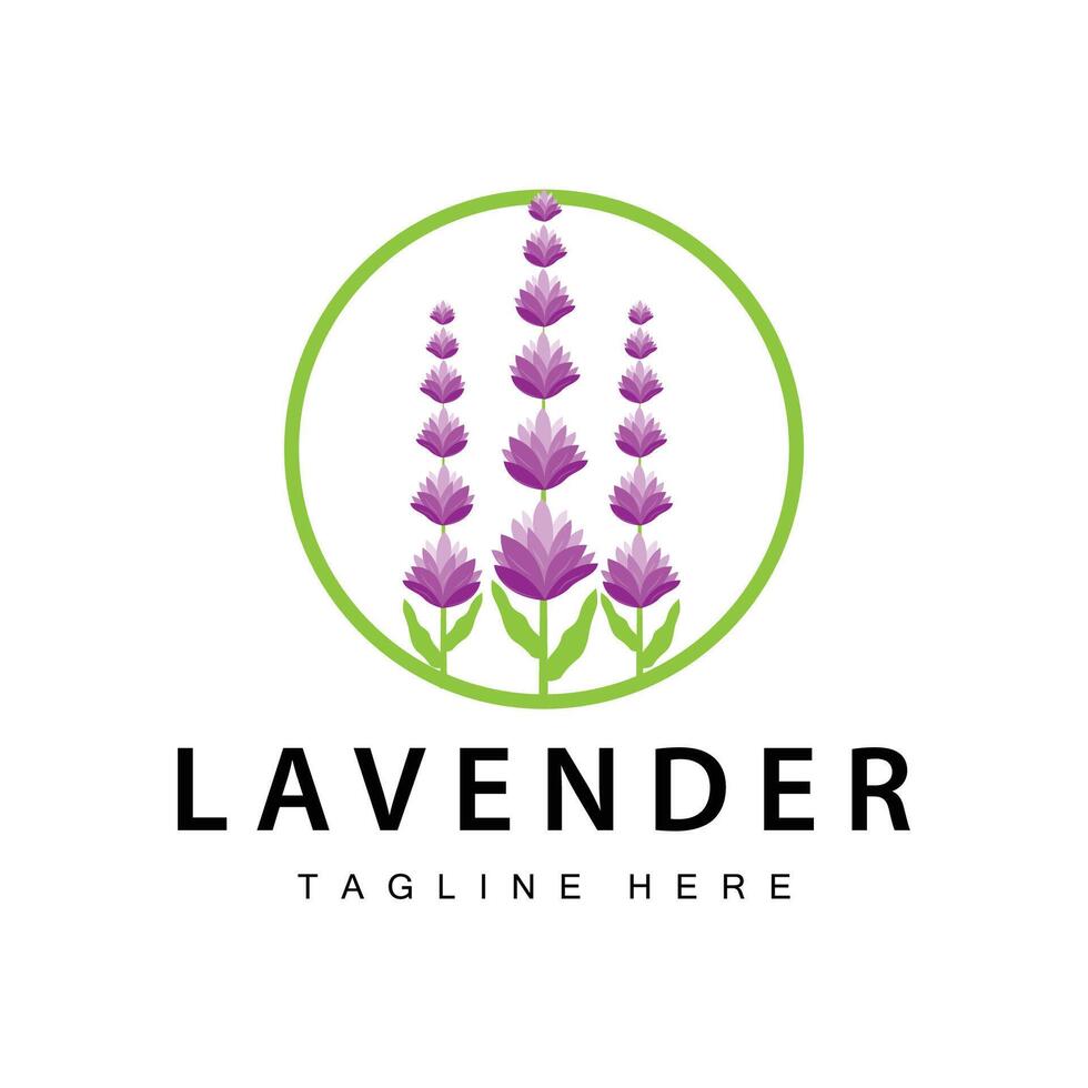 Lavendel Logo einfach Design Vektor kosmetisch Pflanze lila Farbe und Aromatherapie Lavendel Blume Garten Vorlage