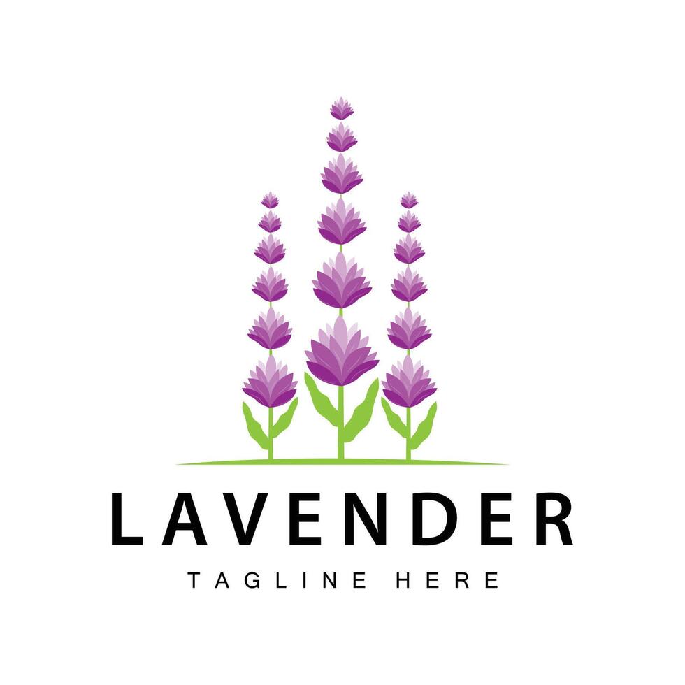 lavendel- logotyp enkel design vektor kosmetisk växt lila Färg och aromaterapi lavendel- blomma trädgård mall