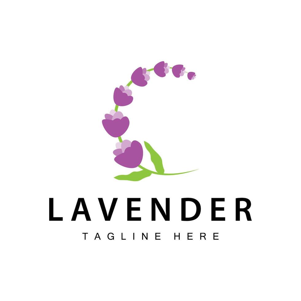 lavendel- logotyp enkel design vektor kosmetisk växt lila Färg och aromaterapi lavendel- blomma trädgård mall