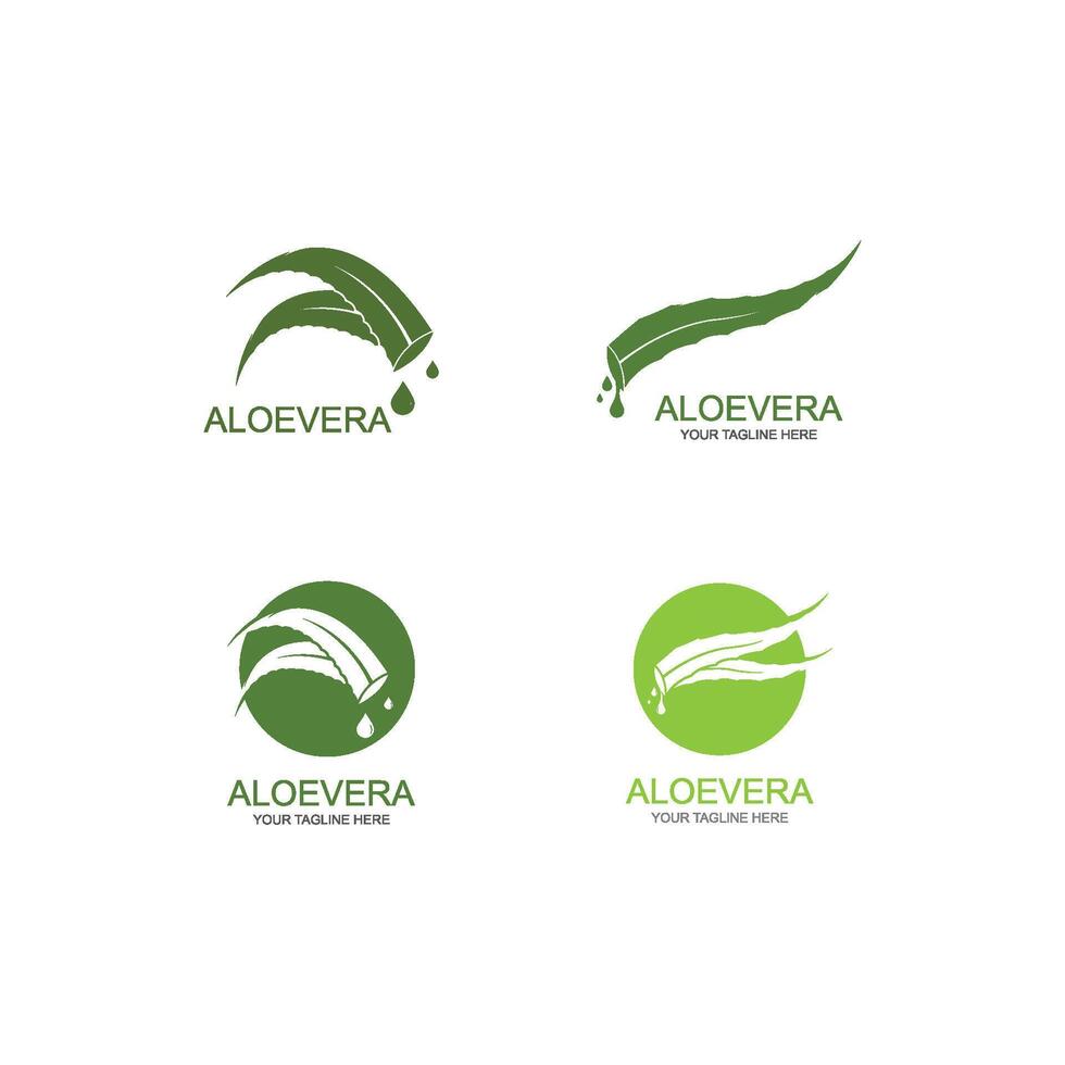 aloe vera logotyp vektor illustration mall